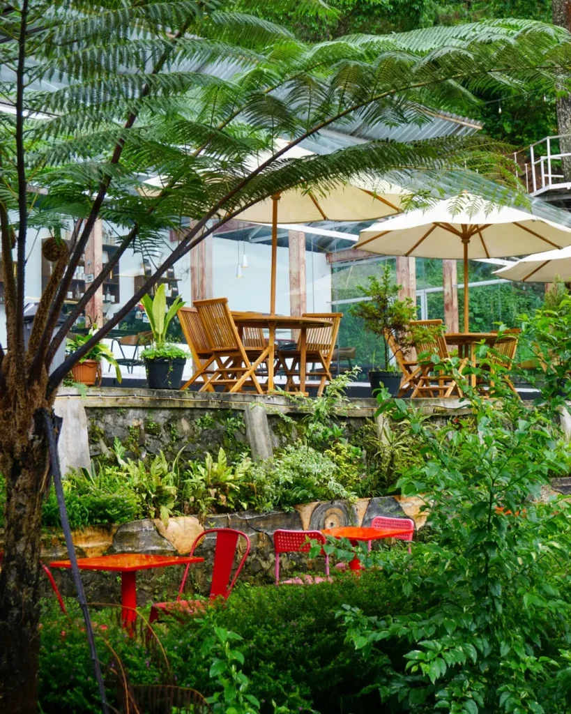 Guci garden tegal - Guci garden : Kisah di Balik Resto Cafe Camping Glamping Guci Tegal